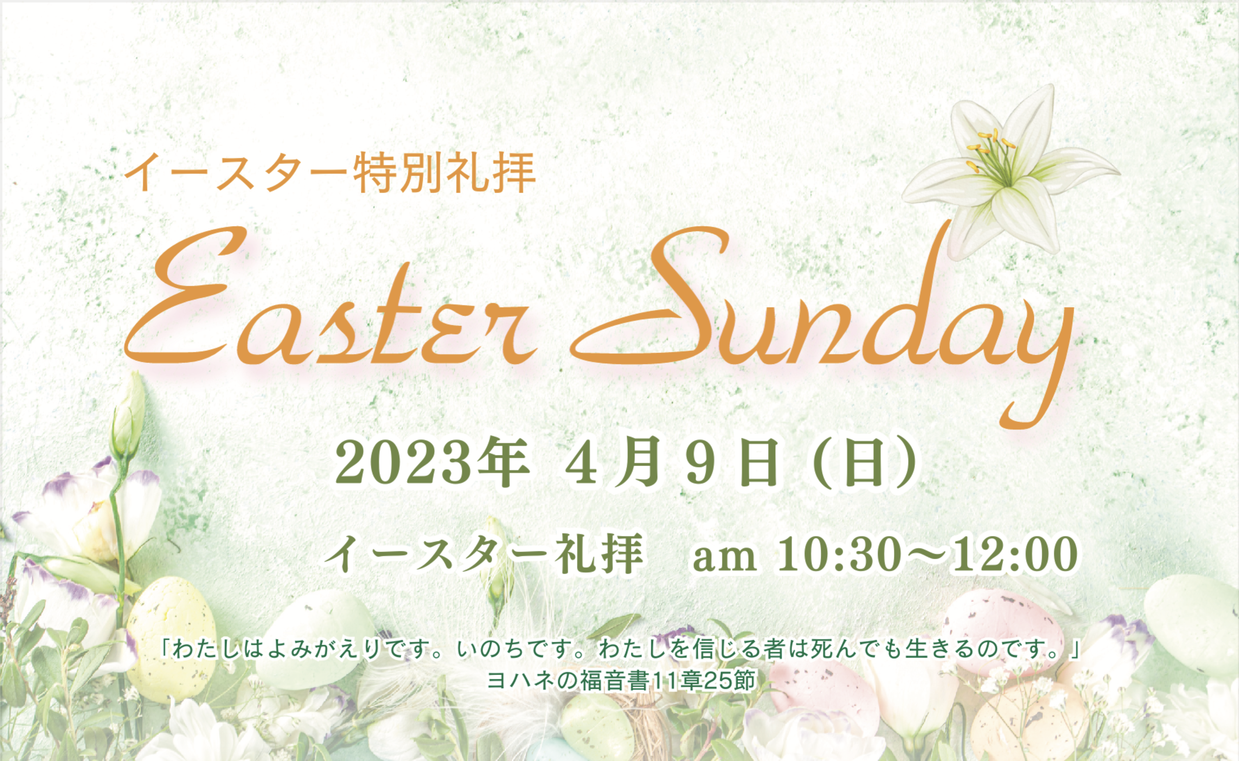 NEWS & EVENT 　お知らせのイメージ
